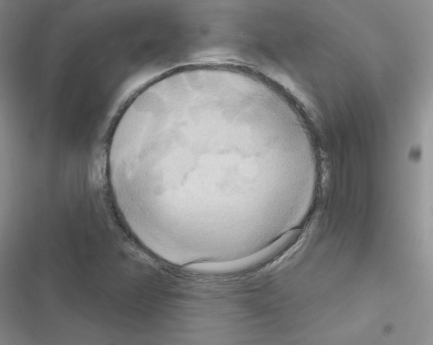 X0000116551358201001211153