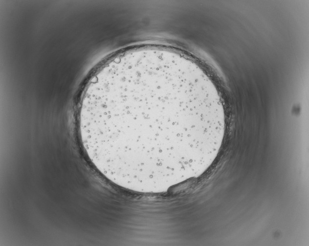 X0000116551360201001211153