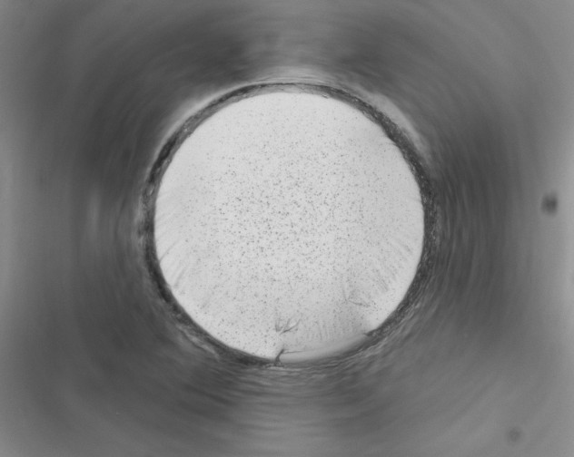 X0000116551364201001211153