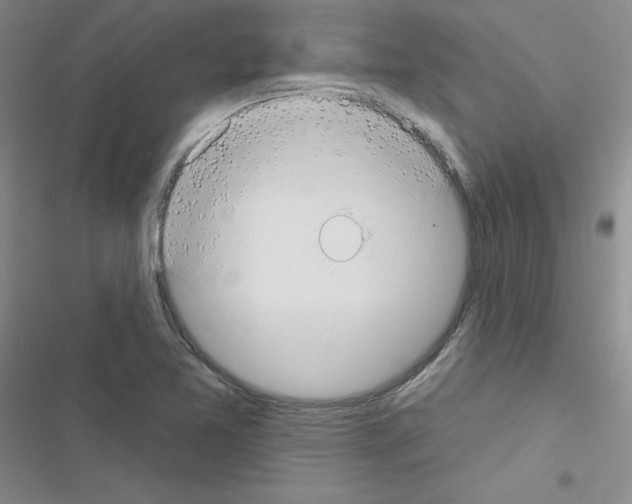 X0000116551365201001211153