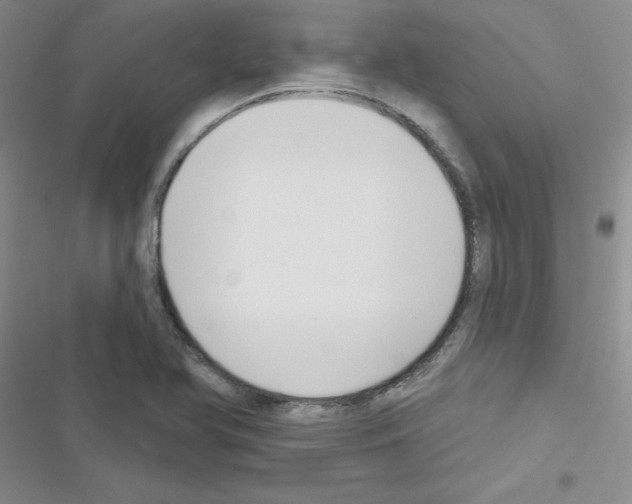 X0000116551366201001211153