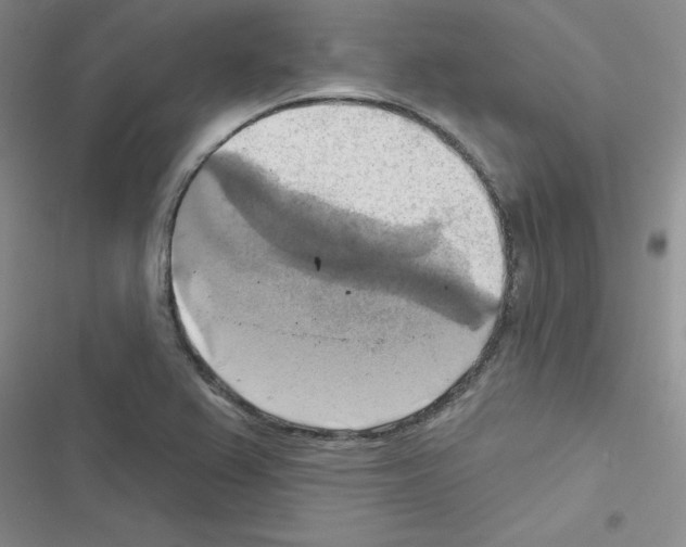 X0000116551367201001211153