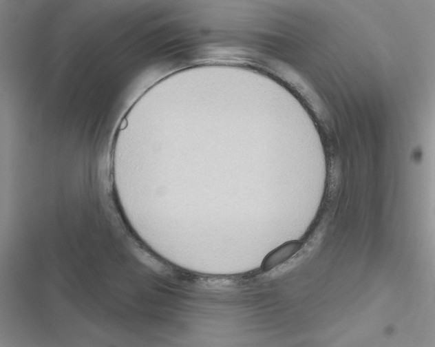 X0000116551370201001211153