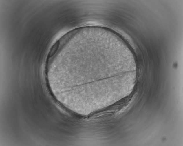 X0000116551373201001211153