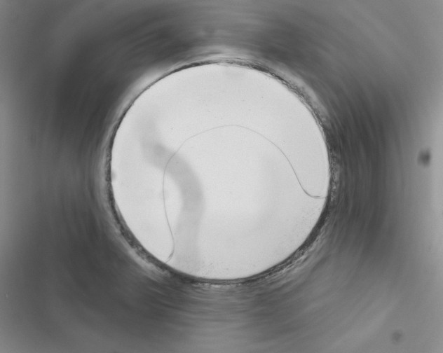 X0000116551375201001211153