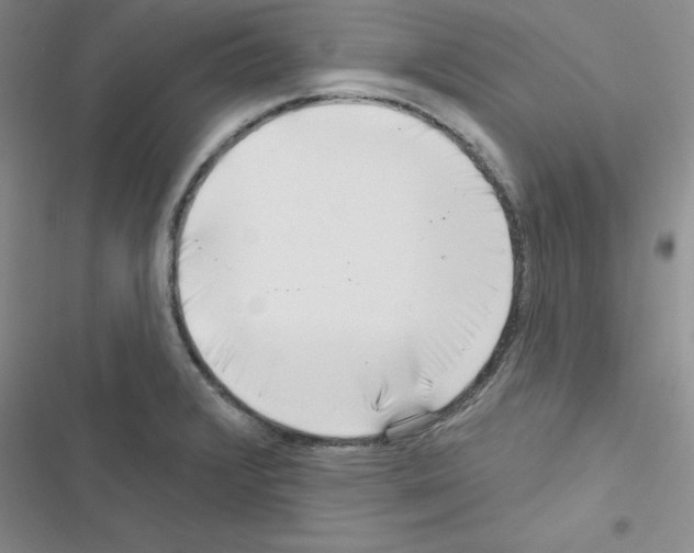 X0000116551376201001211153