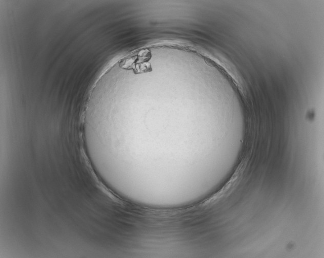 X0000116551377201001211153