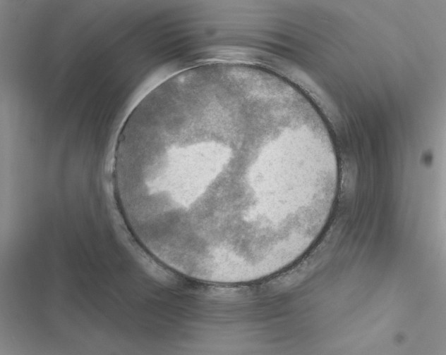 X0000116551378201001211153