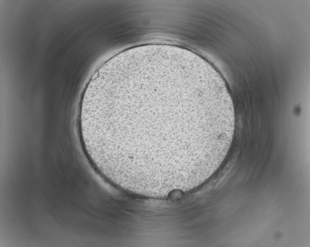 X0000116551379201001211153