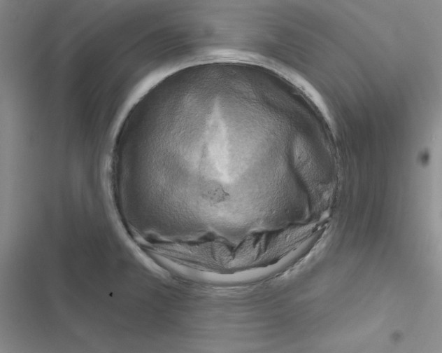 X0000116551381201001211153