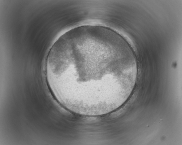 X0000116551382201001211153