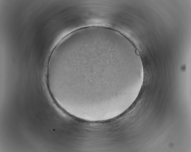 X0000116551383201001211153