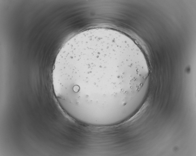 X0000116551385201001211152