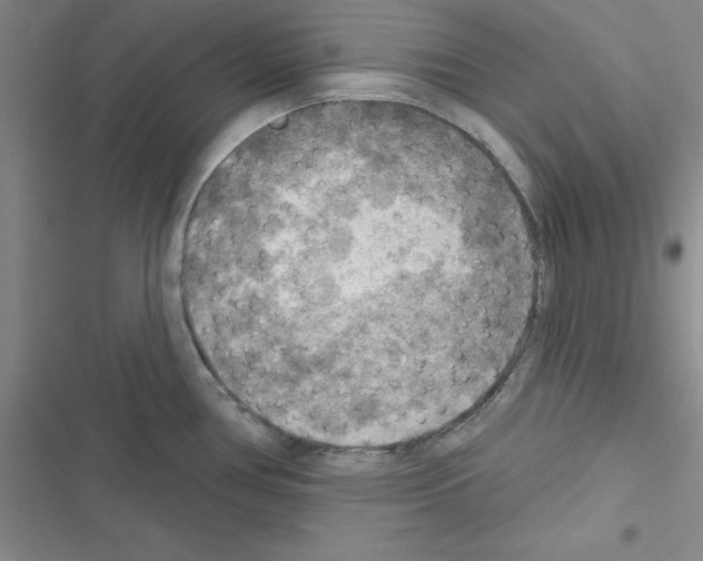 X0000116551386201001211152