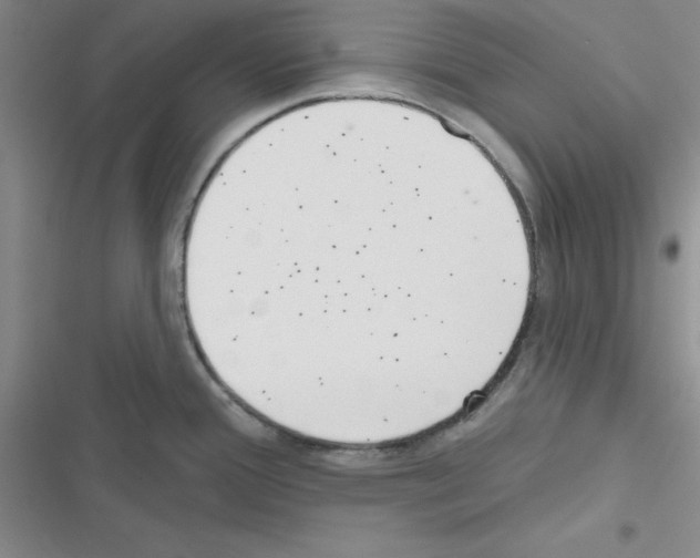 X0000116551388201001211152