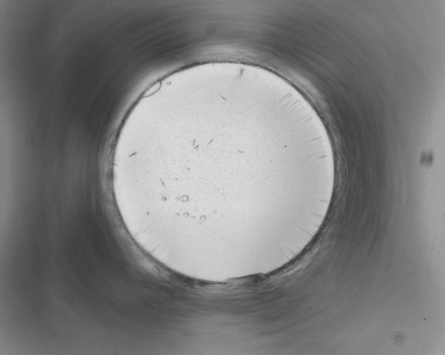 X0000116551392201001211152