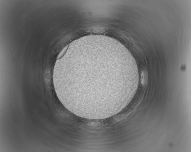 X0000116551395201001211152