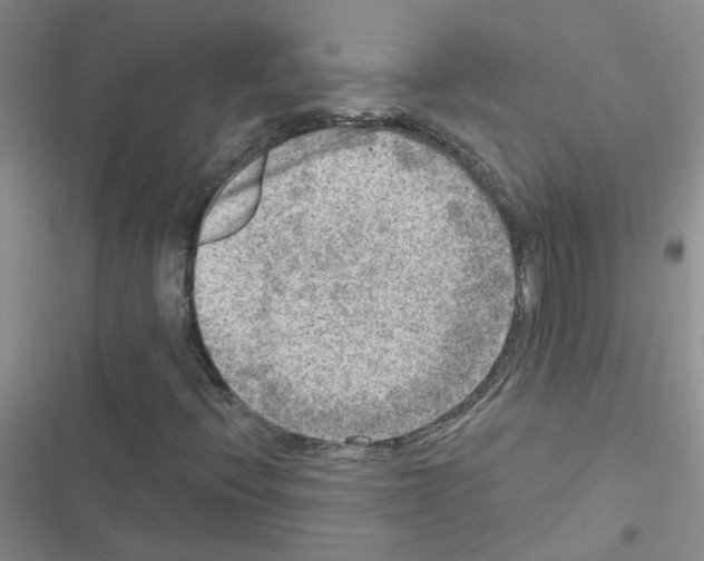 X0000116551396201001211152