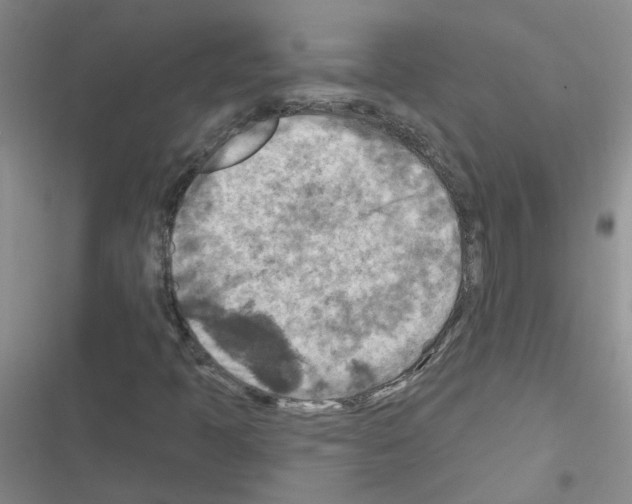 X0000116551397201001211152