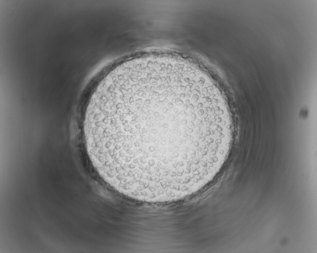 X0000116551400201001211152