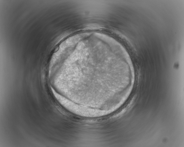 X0000116551401201001211152