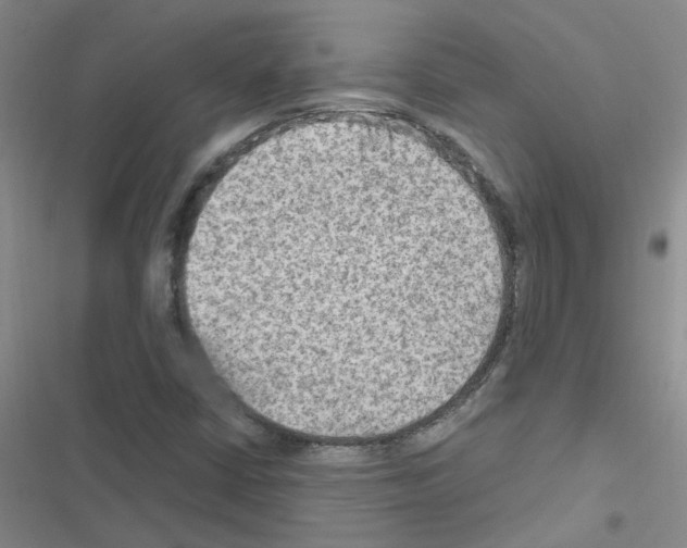 X0000116551402201001211152