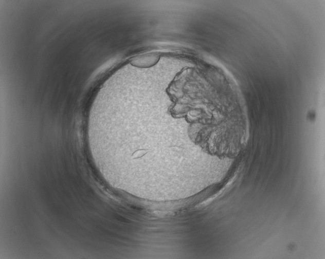 X0000116551403201001211152