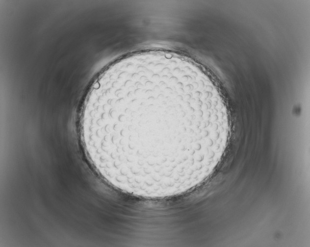 X0000116551404201001211152