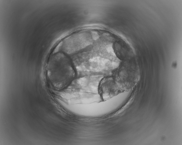 X0000116551405201001211152