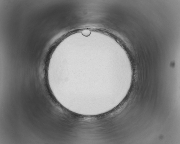 X0000116551406201001211152