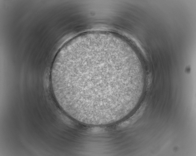 X0000116551409201001211152