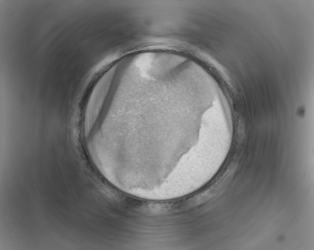 X0000116551411201001211152