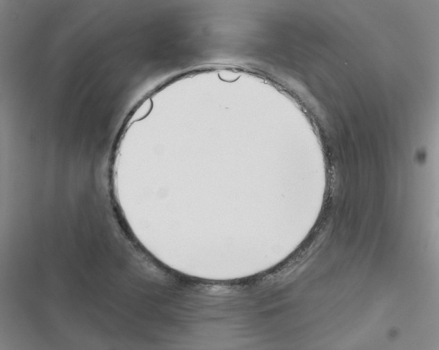 X0000116551412201001211152