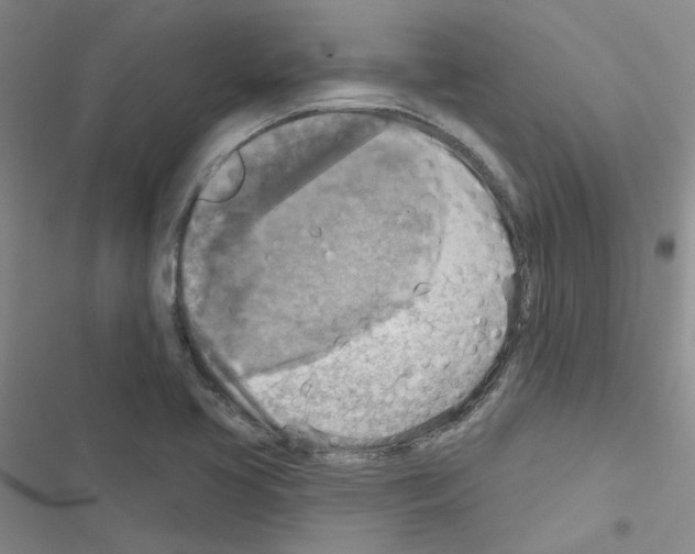 X0000116551413201001211152