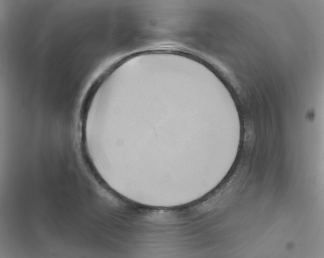 X0000116551414201001211152