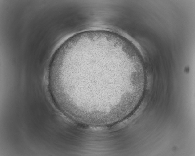 X0000116551415201001211152