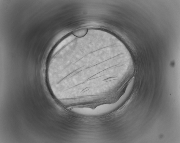 X0000116551418201001211152