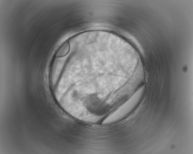 X0000116551419201001211152