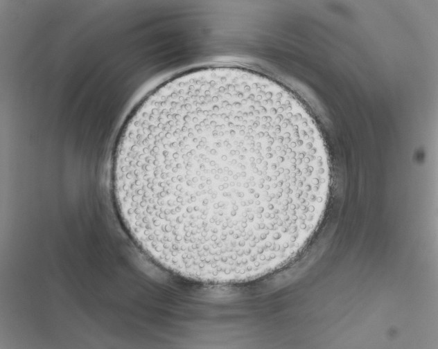 X0000116551420201001211152