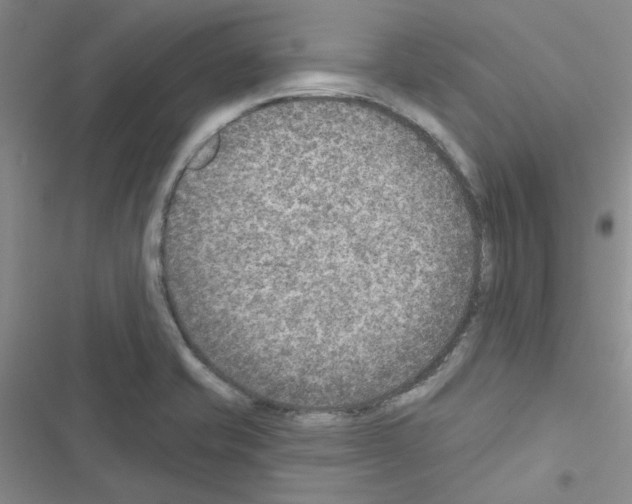 X0000116551421201001211152