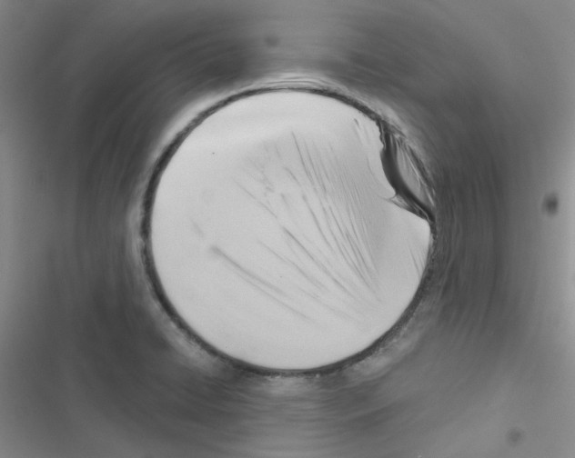 X0000116551422201001211152