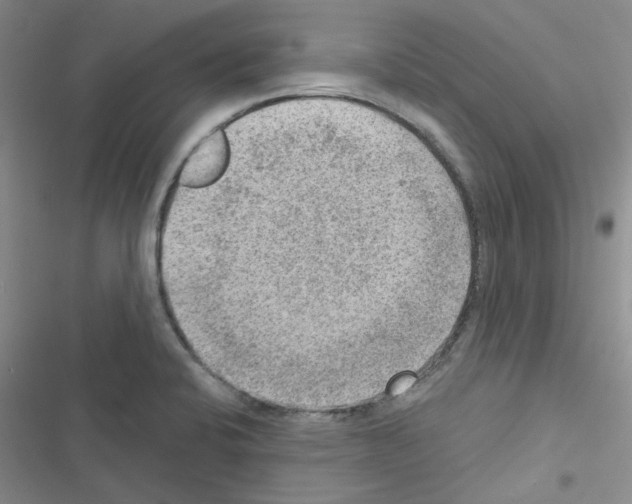 X0000116551424201001211152