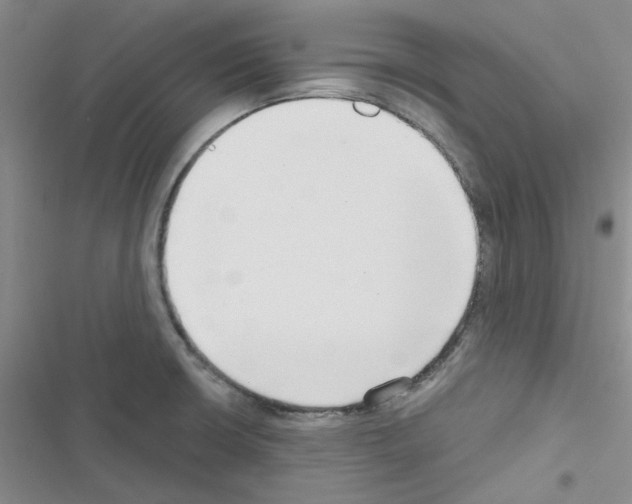 X0000116551426201001211152