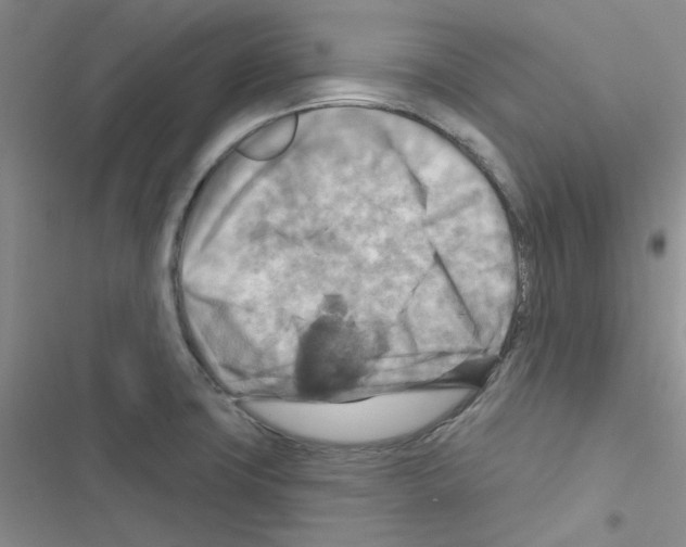 X0000116551427201001211152