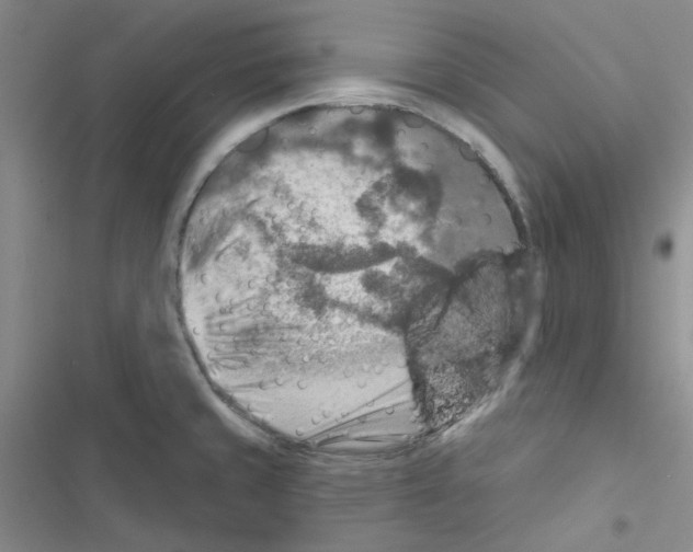 X0000116551429201001211152