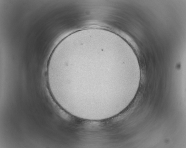 X0000116551431201001211152