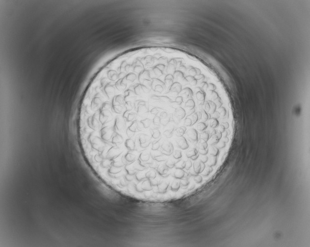 X0000116551432201001211152