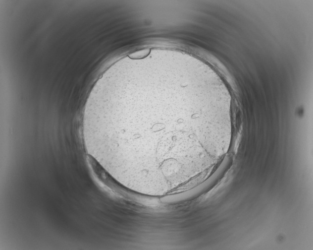 X0000116551433201001211152