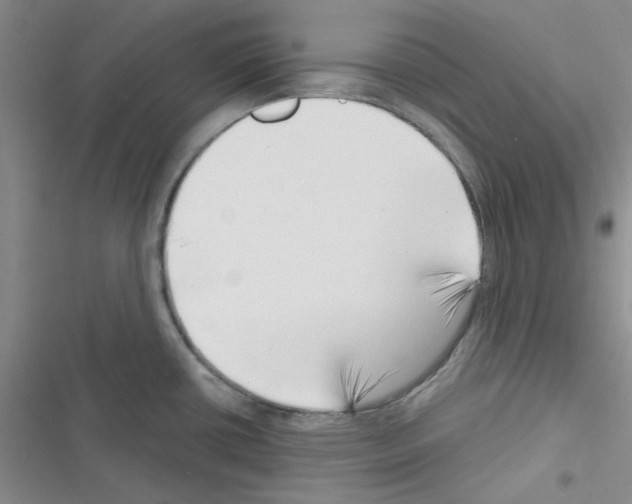 X0000116551434201001211152