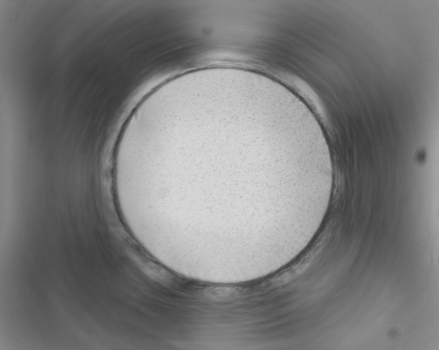 X0000116551435201001211152